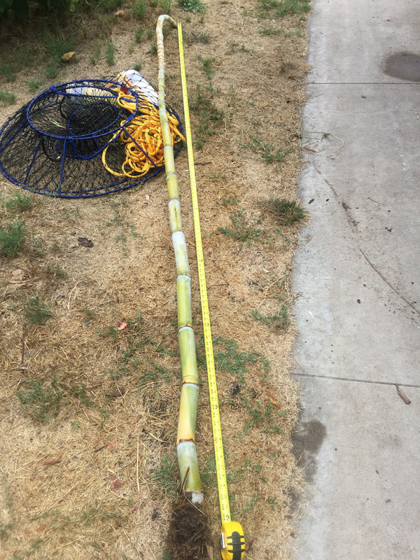 FE4333A5-0DAE-4DB1-A458-D02CD43CC838