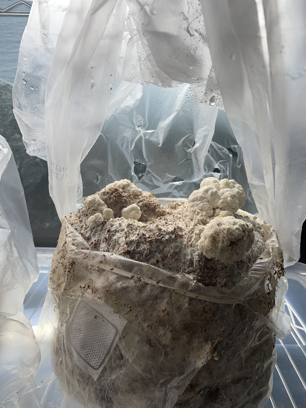 BAB97F31-271E-4585-9EA3-6E395237CE66