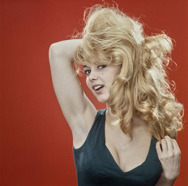 france anglade d81