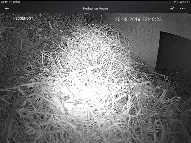 488991F4-123D-4763-BF72-DD43916A71F5