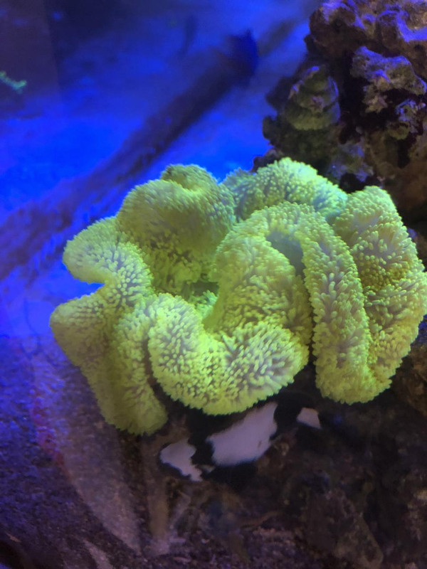 564C8C78-3372-4E23-AE68-9EDDDF951415