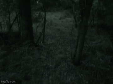 [Изображение: a8795389c269241b23e5f76a11820a57.gif]