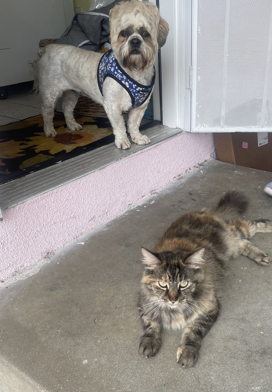 FA8964-C3-986-A-41-E3-A4-FB-3-A0250-BBD8-C3-1-201-a