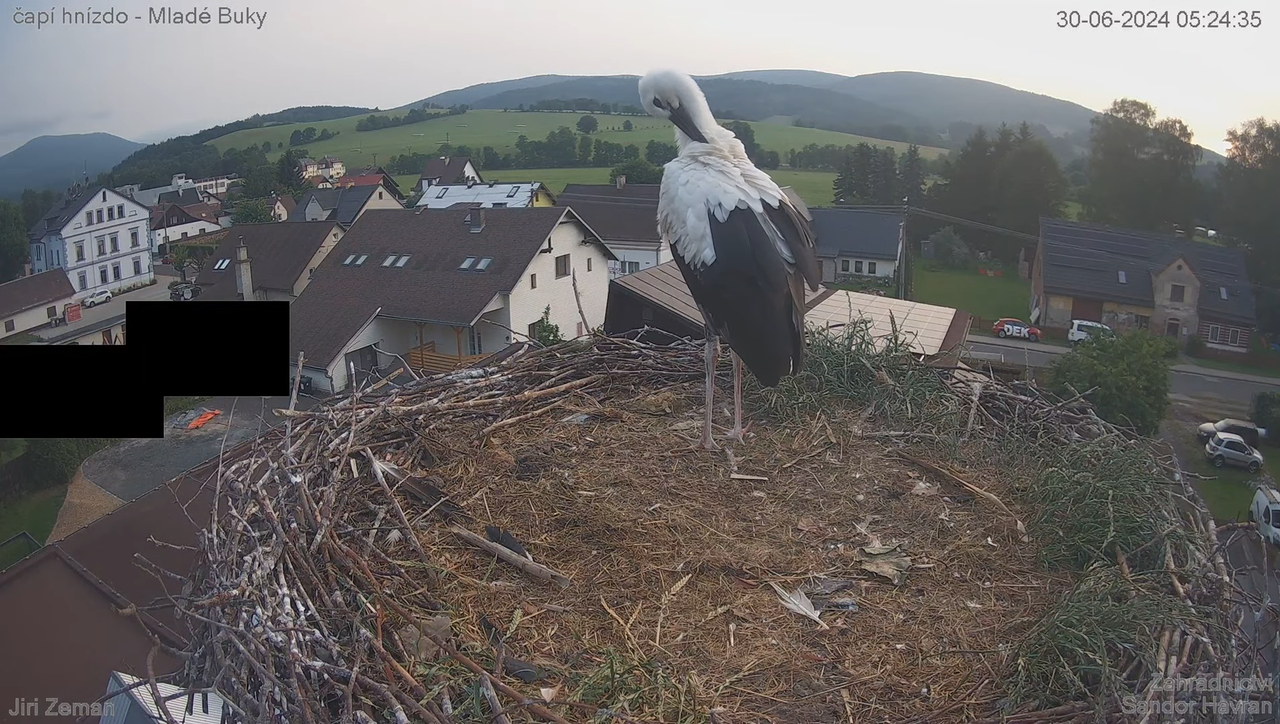 Tiešraides kamera — Mladé Buky — stārķa ligzda 5-54-48 screenshot