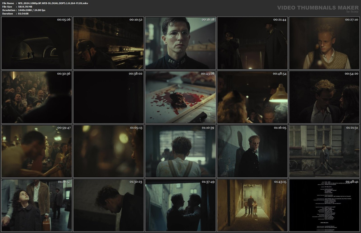 WIL-2024-1080p-NF-WEB-DL-DUAL-DDP5-1-H-264-FLUX-mkv.jpg