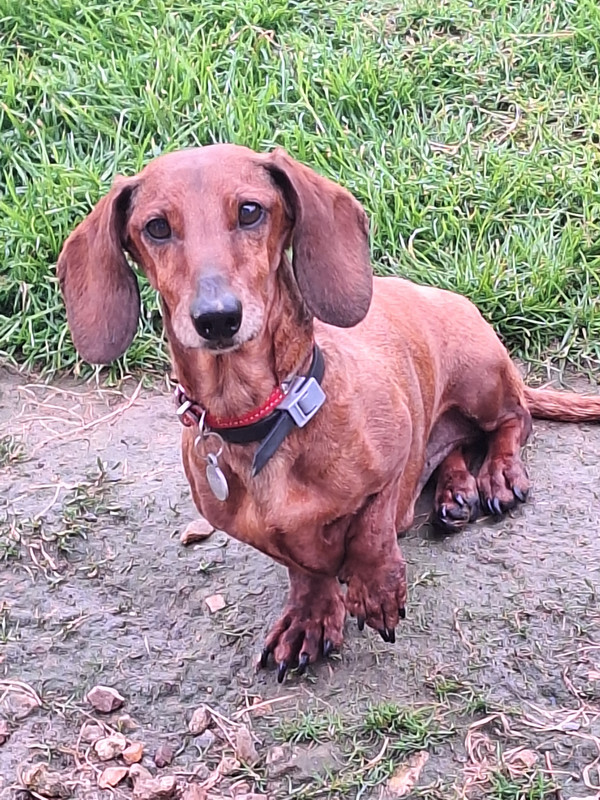 [Image: 20240426-194931.jpg]