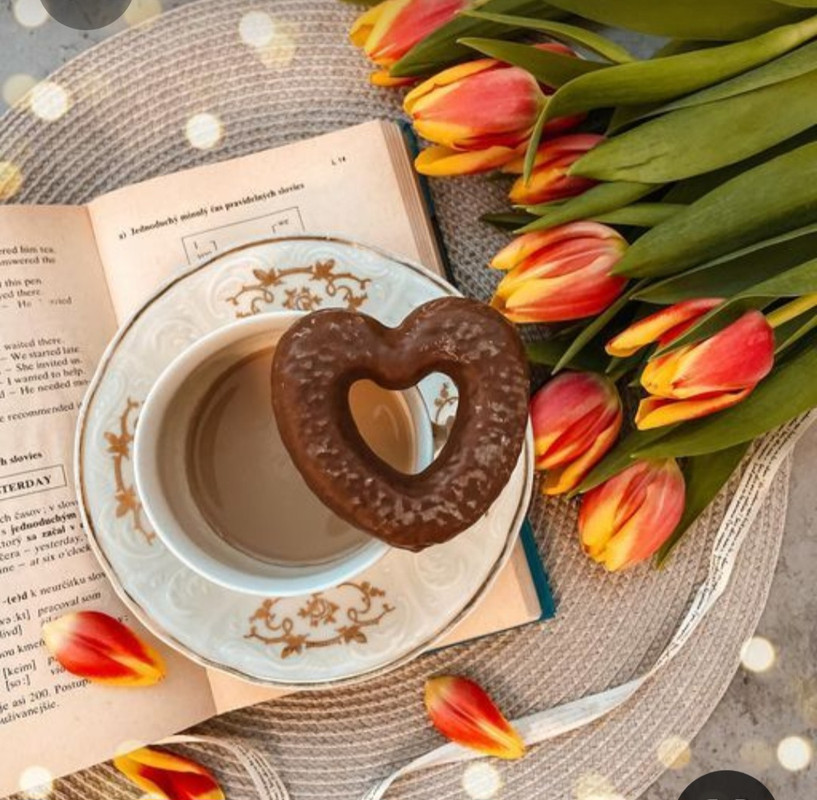 Screenshot_20230310_233611_Pinterest