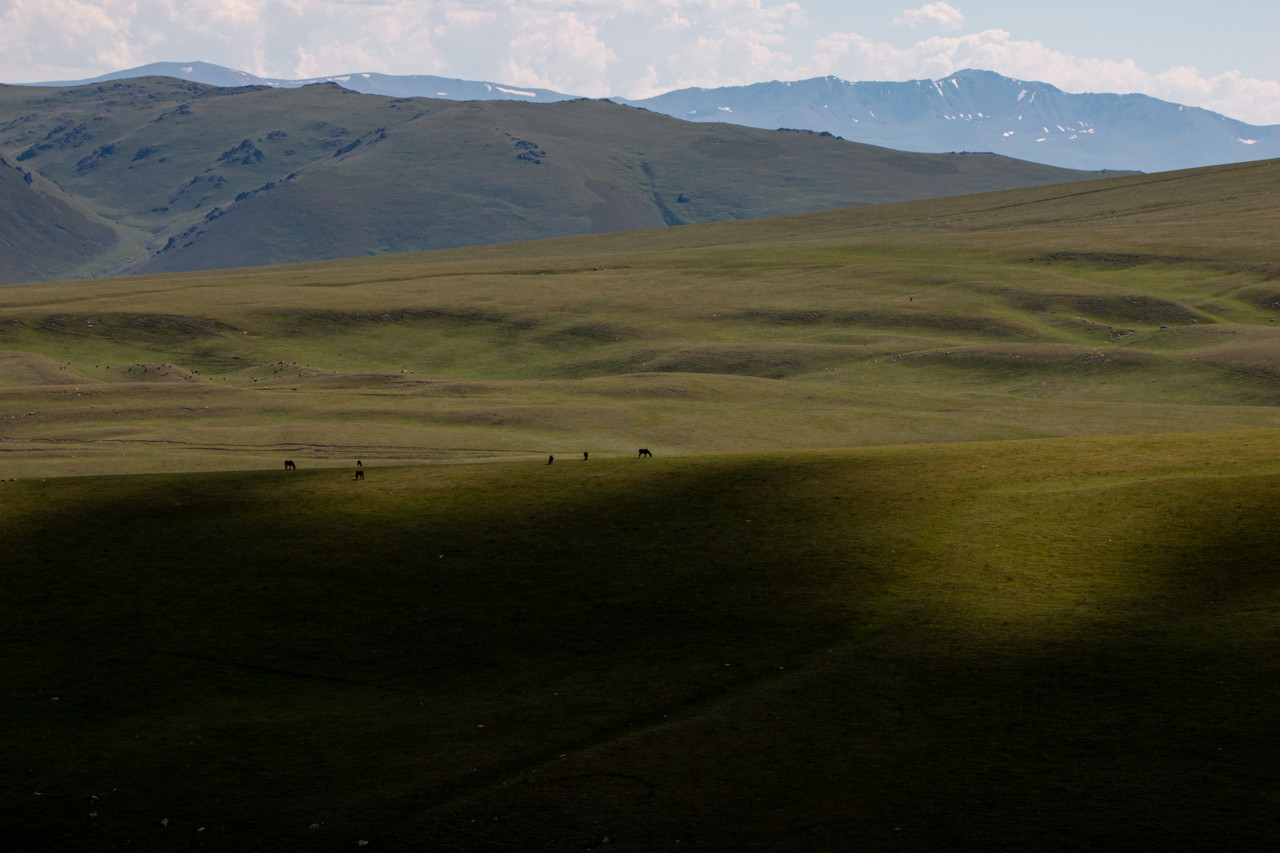IMG 1409