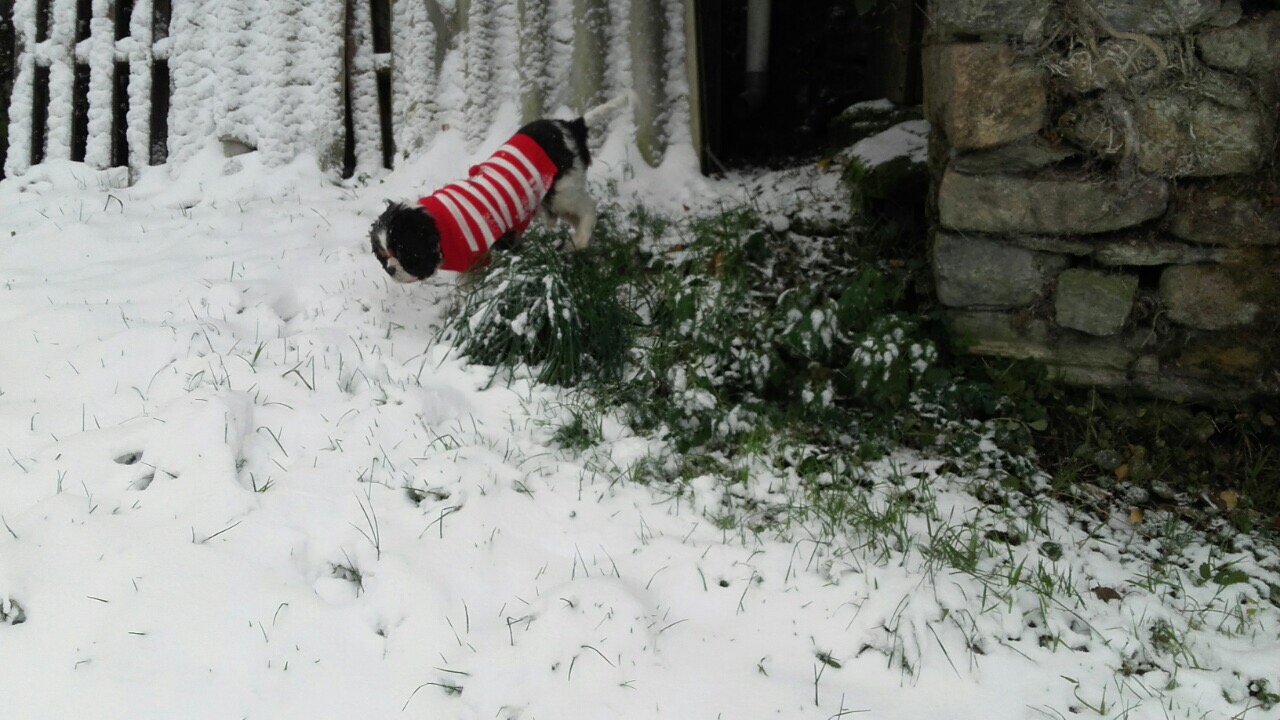 2DF8266C-4D48-4EC4-9F13-F5DE900DBC7C