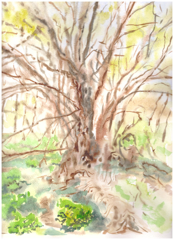 002 (3)
