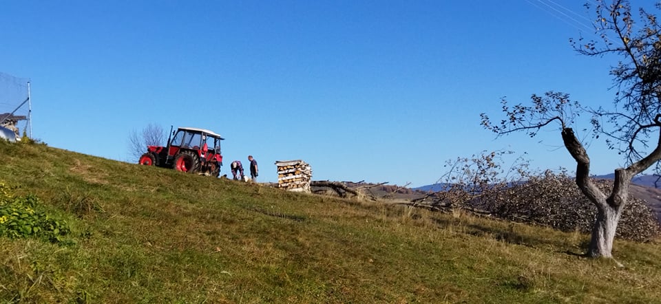 258564586_421059359568985_4471542307063131072_n