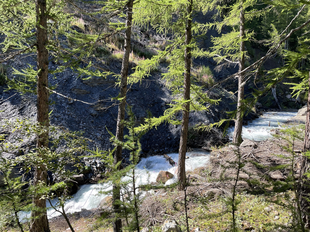 EAC0264D-F093-4F35-9BCB-F0701F8F19A0