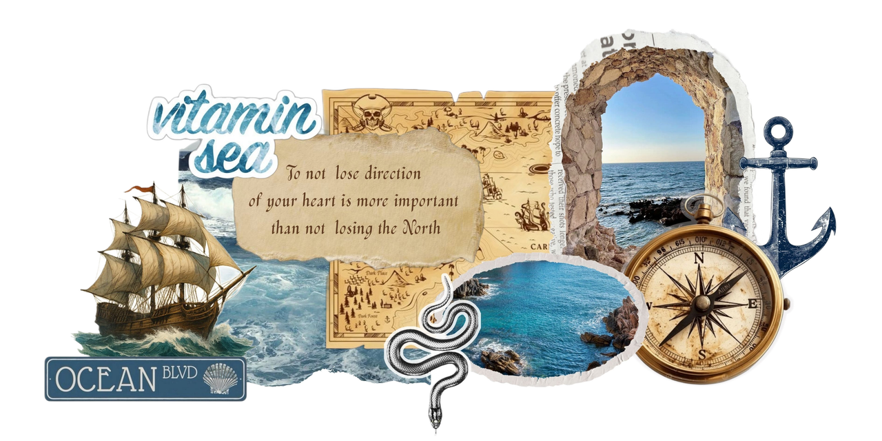 seapirate Picsart Background Remover