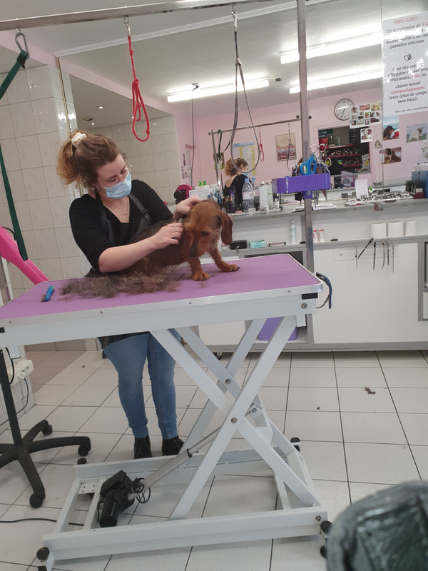 [Image: 20220128-162750.jpg]