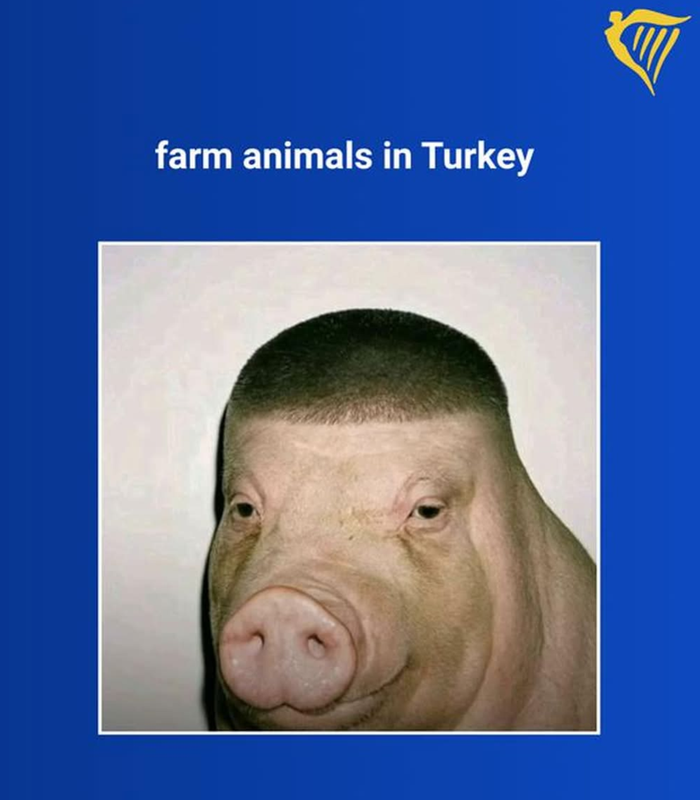 1000036269.png