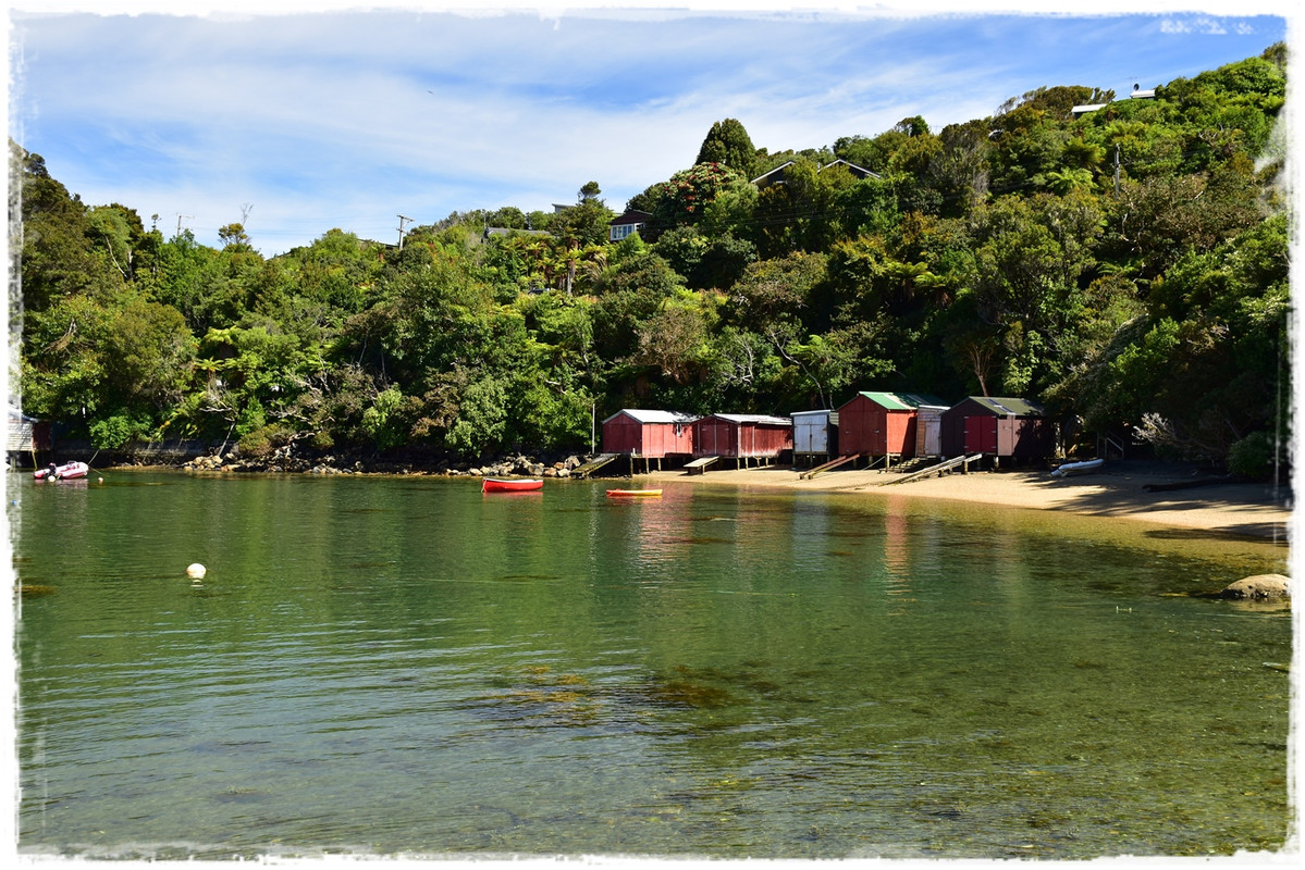 Stewart Island:  kiwis, Coast to Coast y unos días en Oban (febrero 2021) - Escapadas y rutas por la Nueva Zelanda menos conocida (1)