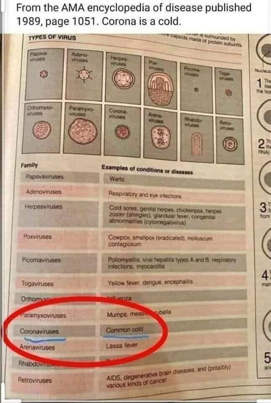 chinese flu is common cold
