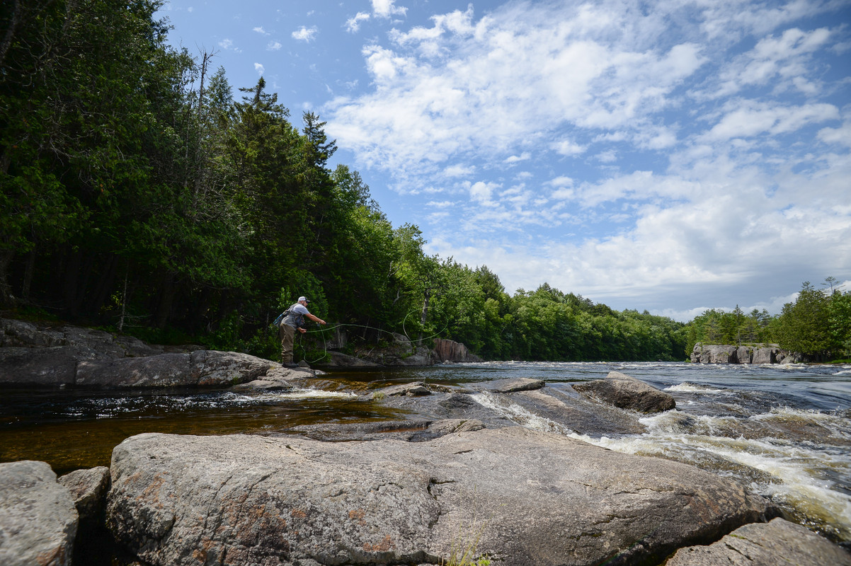 2019_July_MaineAls_009