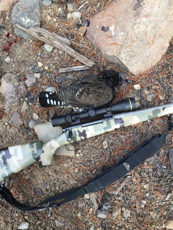 1B8209B9-4E4A-4D84-98B1-E5E3624A535C