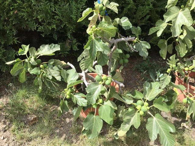 9DF87640-3247-4978-BDA0-CFC0E418422C