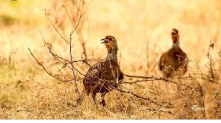 Screenshot-2020-09-18-11-03-23-451-org-m