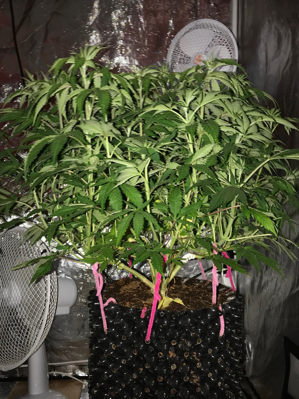 837A91D8-9486-4D9D-B123-DE19DAA305D6