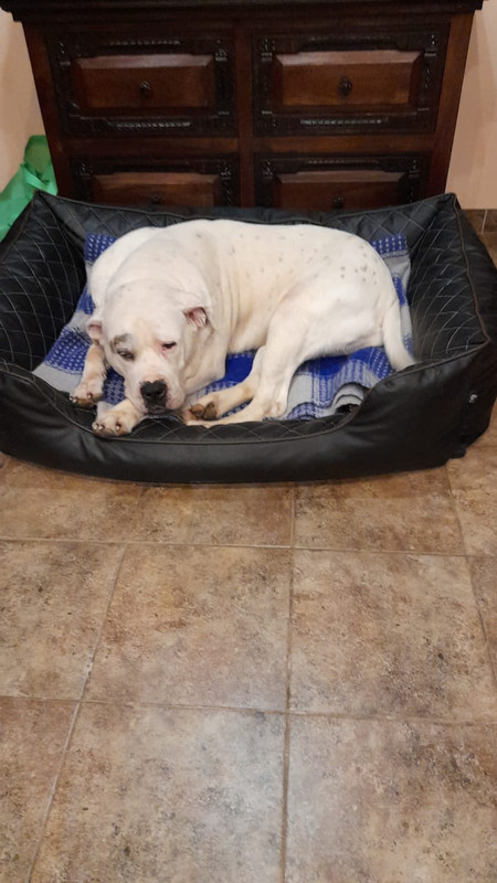 3F656928-4532-4AA3-867F-4BF85F9B3E1B