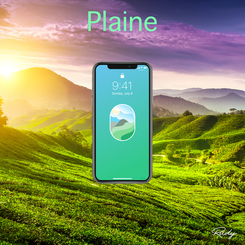 mock up plaine