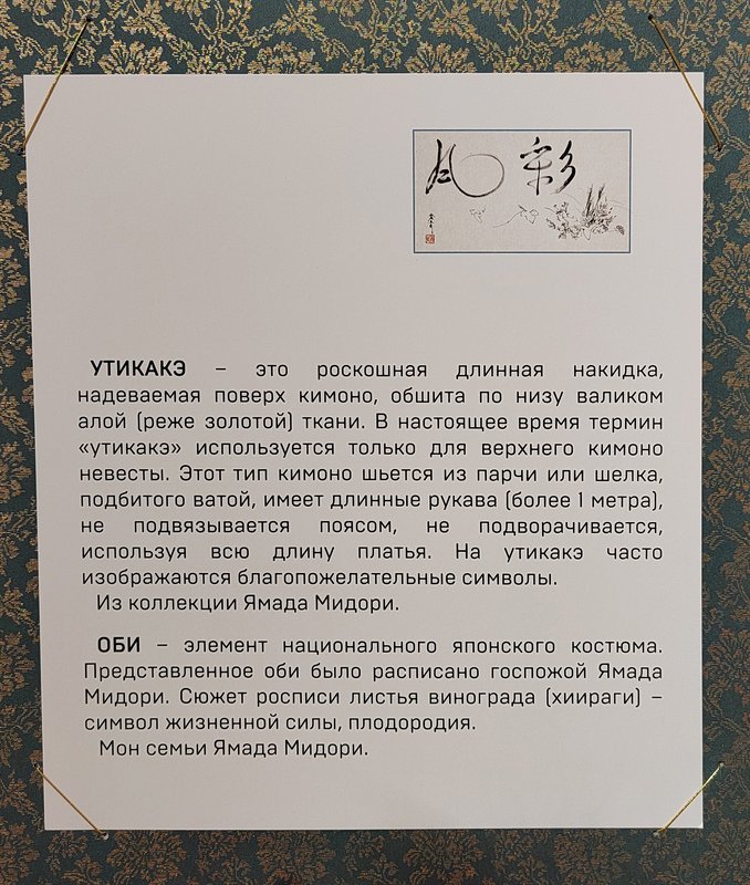 https://i.postimg.cc/QdjYQBNq/019-IMG-20240926-111241.jpg