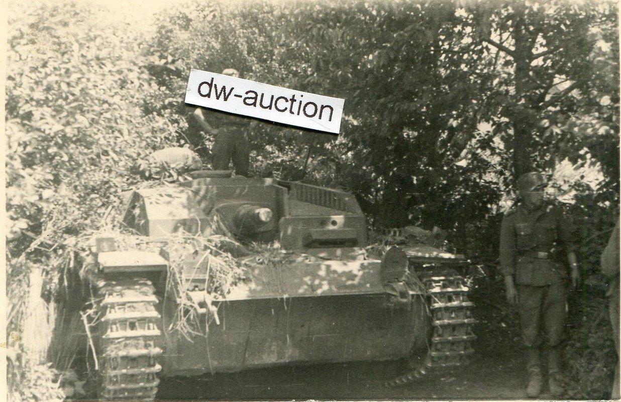 Sturmgeschütz Abt. 184 , Stug getarnt in Kampfpa