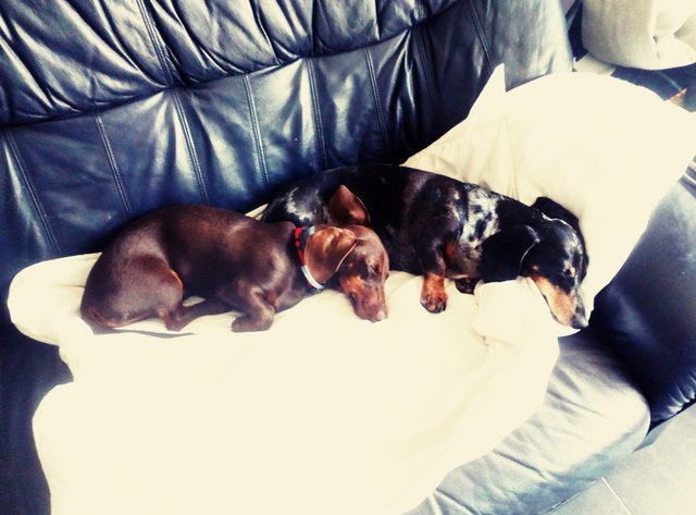 [Image: 20210527-133106.jpg]