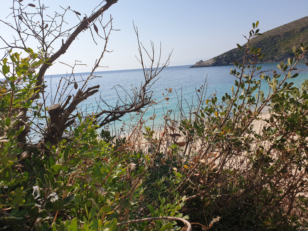 20190709_093456