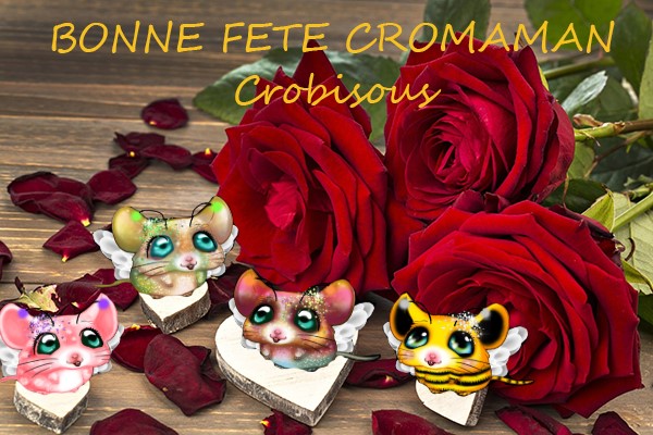 https://i.postimg.cc/Qdk6nBRs/fete-des-cromamans.jpg