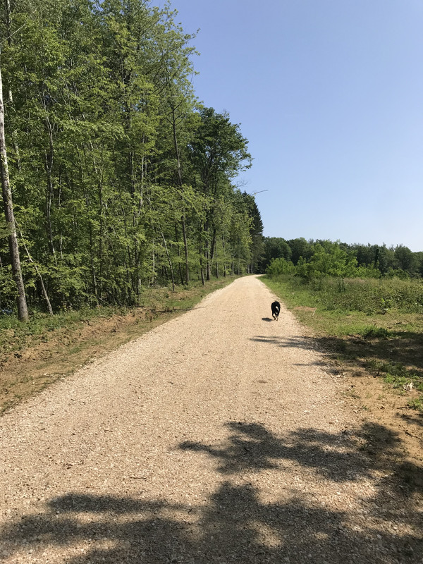 5A58879E-D42F-4063-AD9C-0EDDCCCB9158