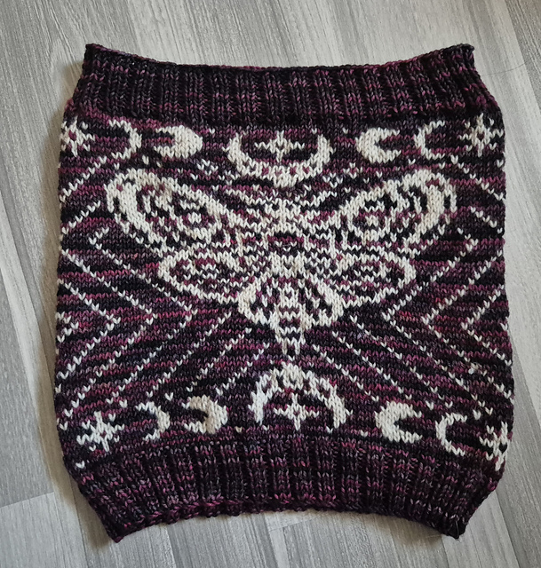 20251122 085302 medium2