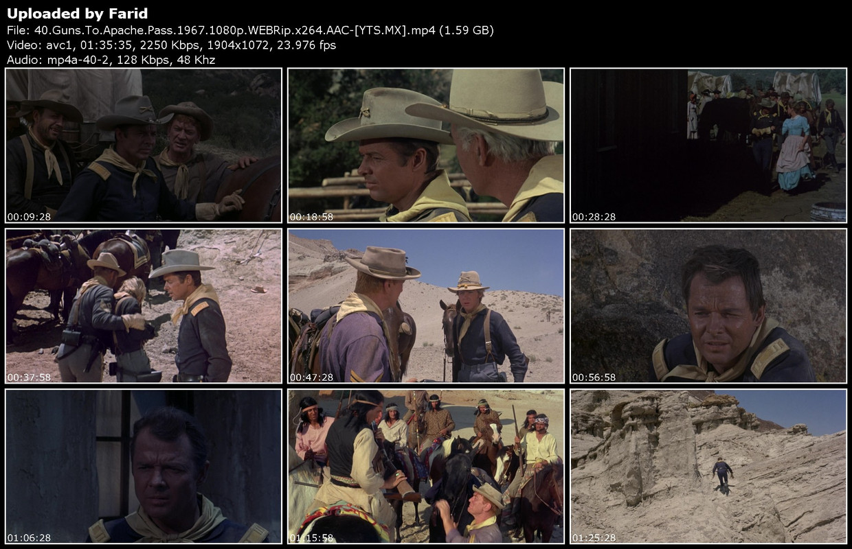 40-Guns-To-Apache-Pass-1967-1080p-WEBRip-YTS-MX.jpg