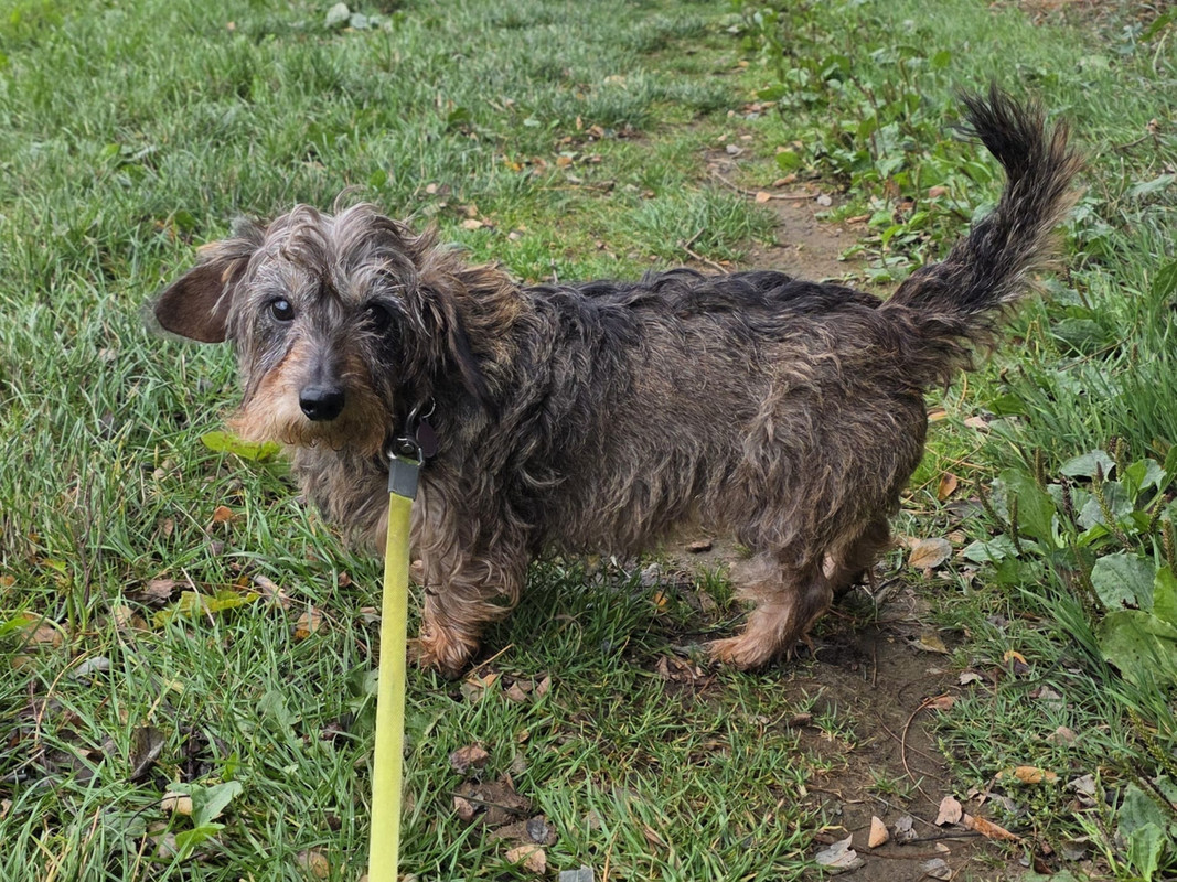 [Image: IMG-20250924-WA0008.jpg]