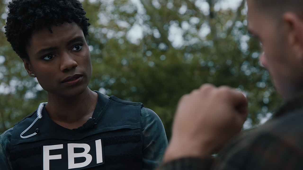 FBI.S04E07.Gone.Baby.Gone.1080p.10bit.AMZN.WEB-DL.DDP5.1.HEVC-Vyndros.mkv_snapshot_23.07_[2021.11.19