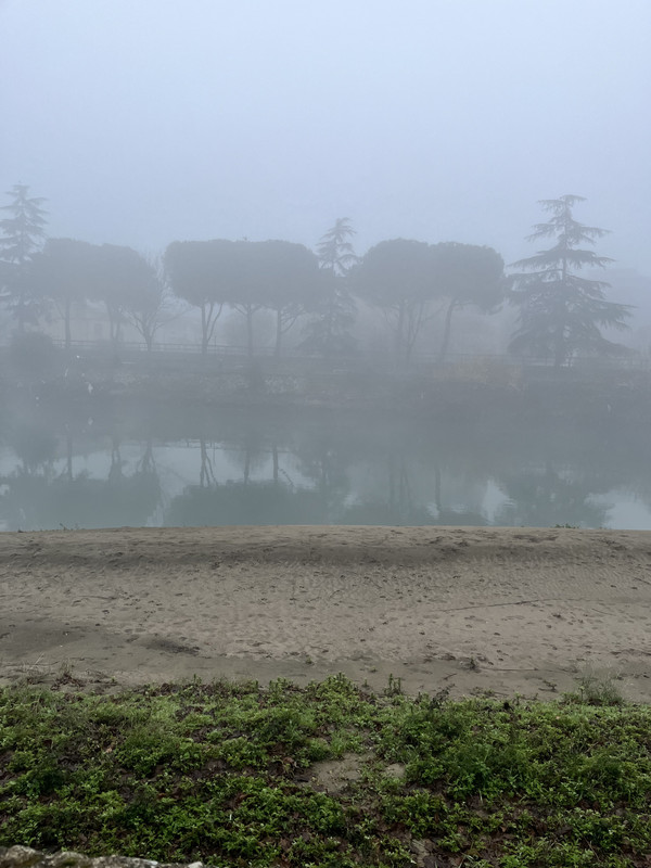 25D431C1-8A58-436E-B132-3430ED5D83DF