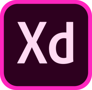 11.png