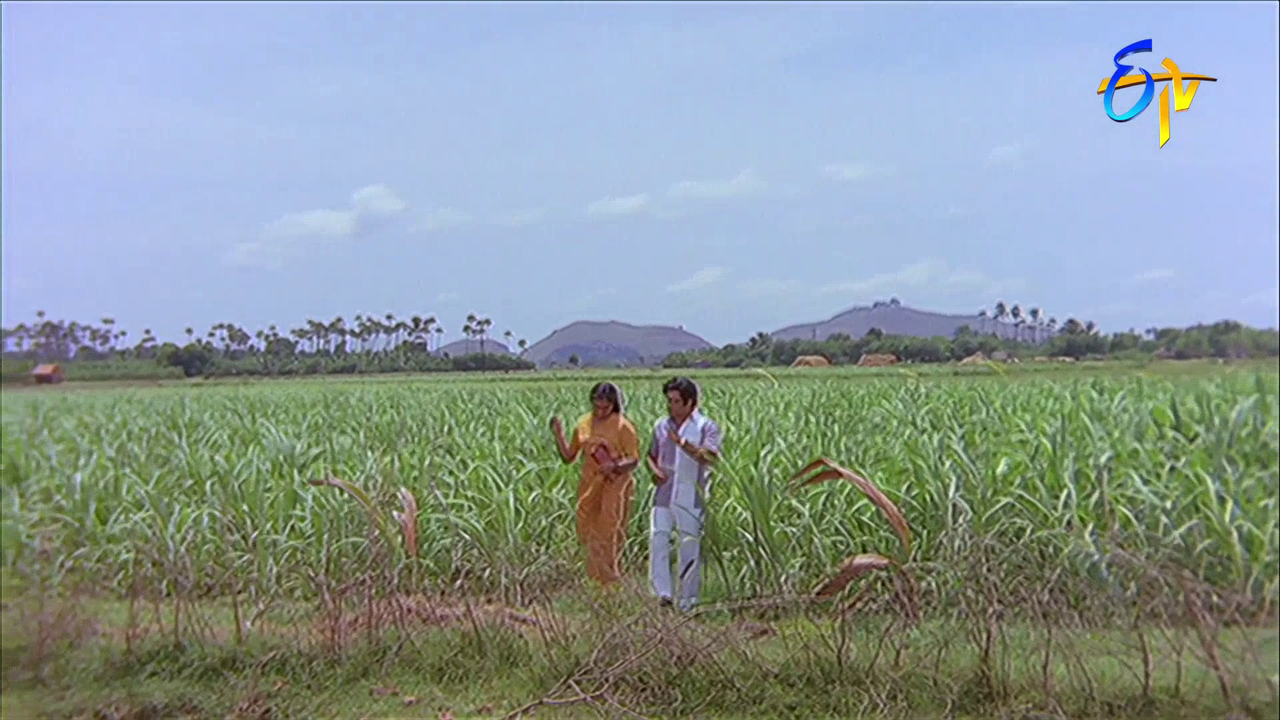 vlcsnap 2026 02 04 14h01m02s776