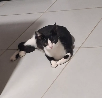 Luna