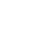 Fast Shipping
