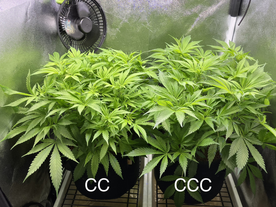 AD37541B-4FE6-4280-8D2D-1D2CC546757C