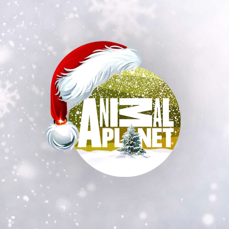 FB_IMG_15455002065993803