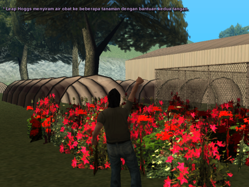 Rohiimatt-SSRP-(1).png