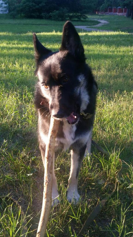 изображение_viber_2019-07-13_19-18-04