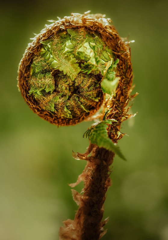 Screenshot_20240427_001620_Threads