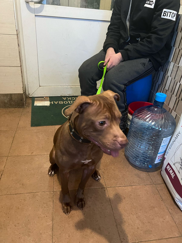 WhatsApp Image 2024-02-04 at 19.39.32 (1)