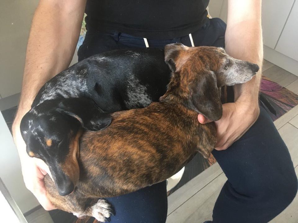 [Image: Folio-et-Jypsy-1.jpg]